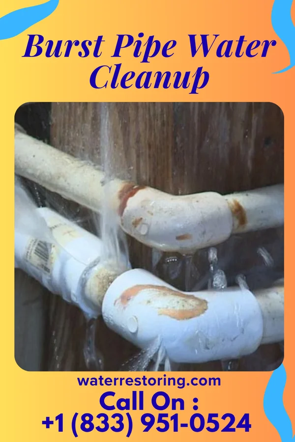 Burst Pipe Water Cleanup in Greenland, AR