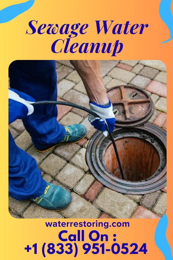 Sewage Water Cleanup in Greenland, AR